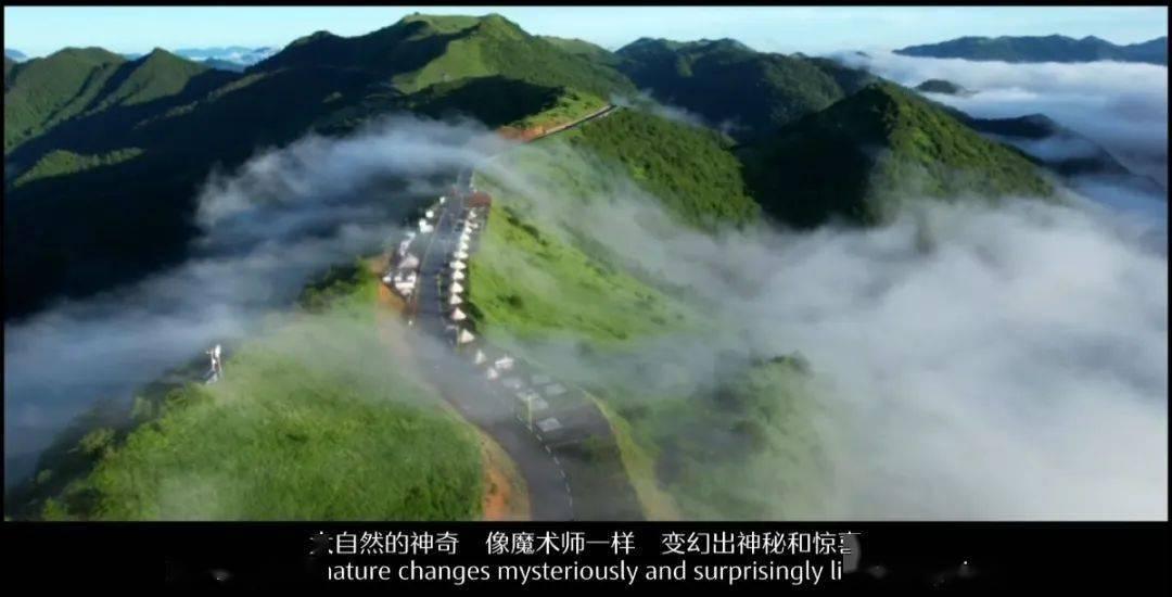 救出被困的老鼠