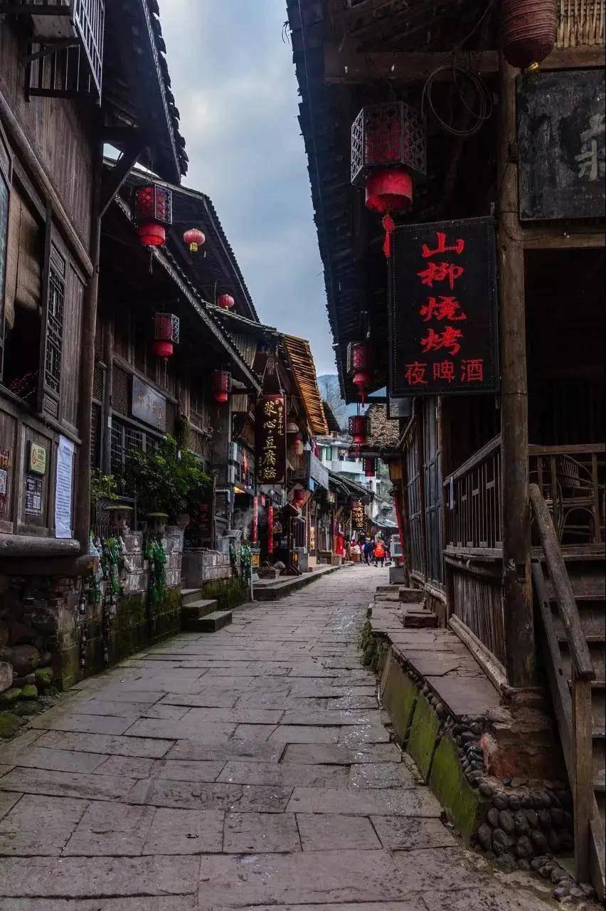动物帮帮忙保卫家园